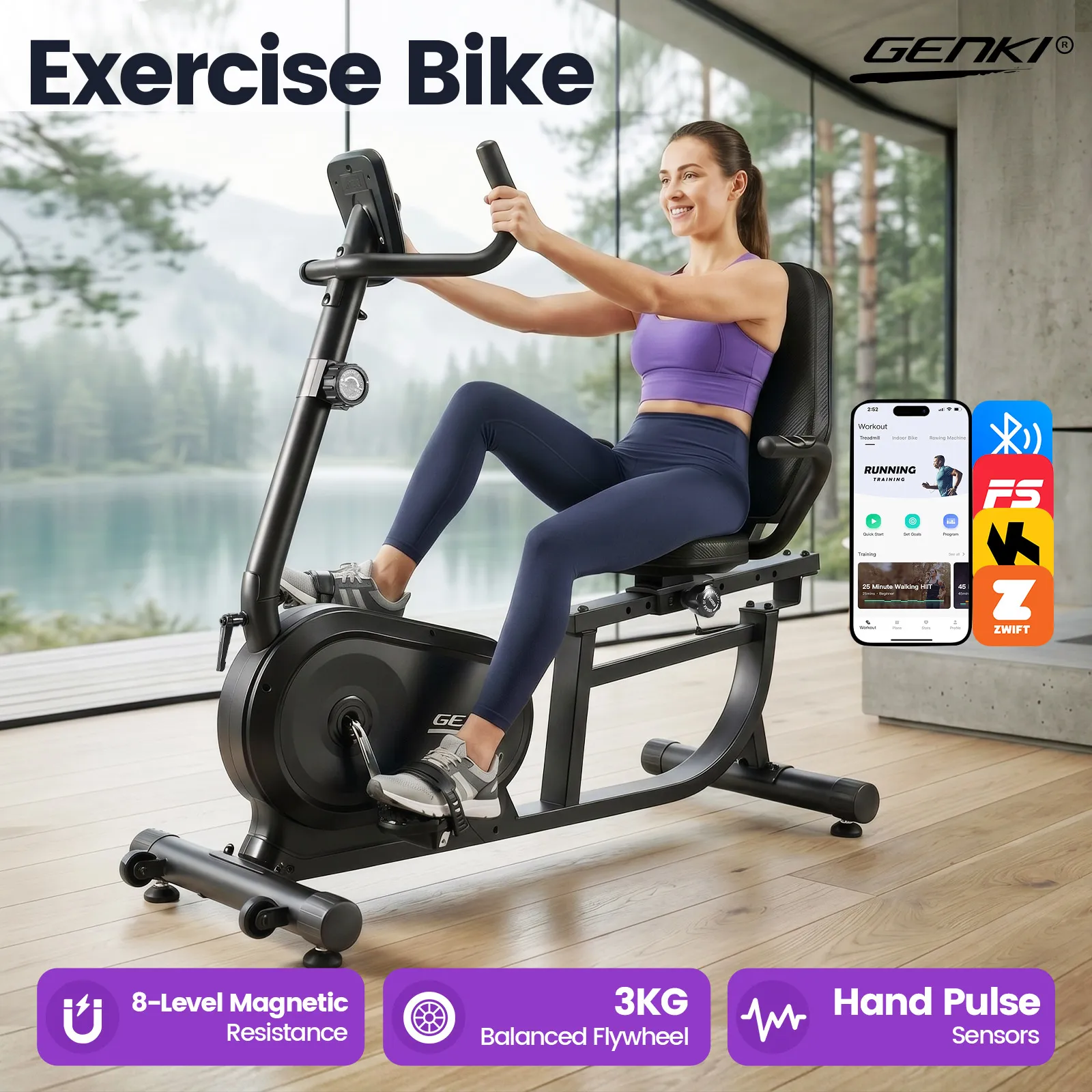 Recumbent Exercise Bike