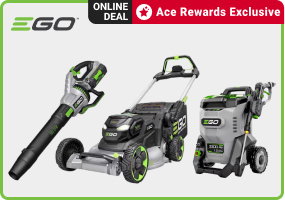 ONLINE DEAL. Ace Rewards Exclusive.