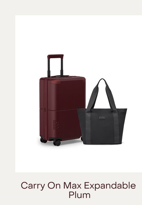 Carry On with CaseSafe Plum