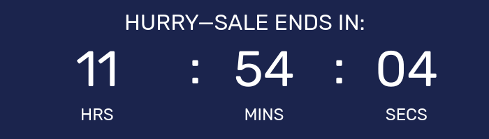Countdown timer for Big Holiday Flash Sale.