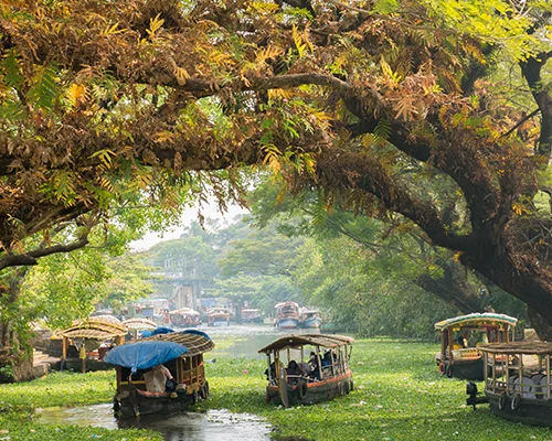 Highlights of Kerala