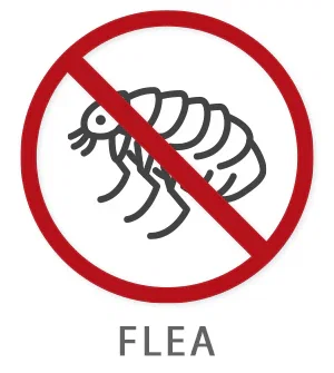 SHOP by Pest Type: Fleas