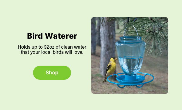 Bird Waterer