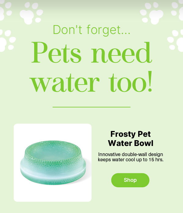 Frosty Pet Water Bowl