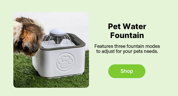 Pet Water Fountain