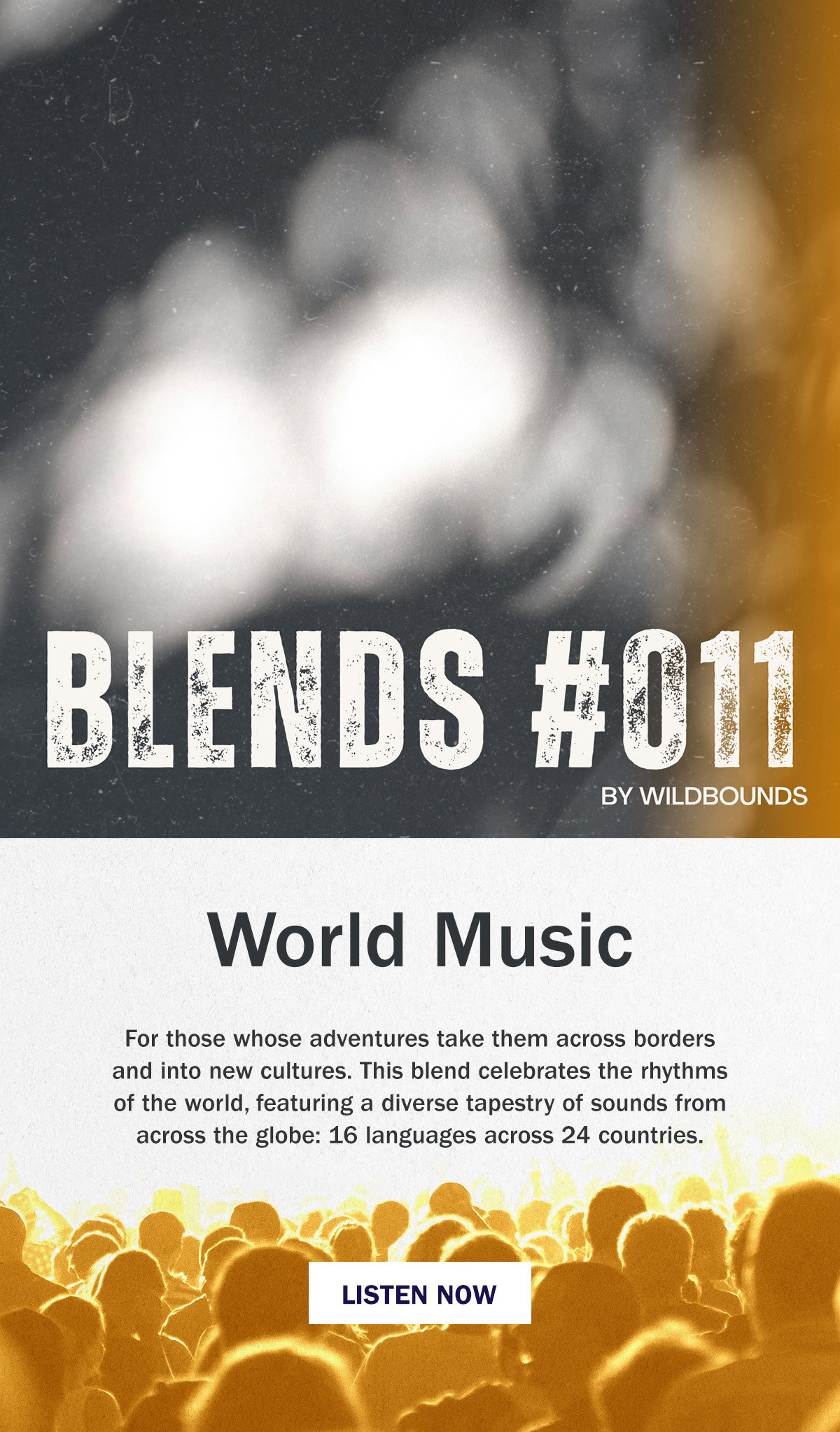 Blends #011 | World Music | WildBounds