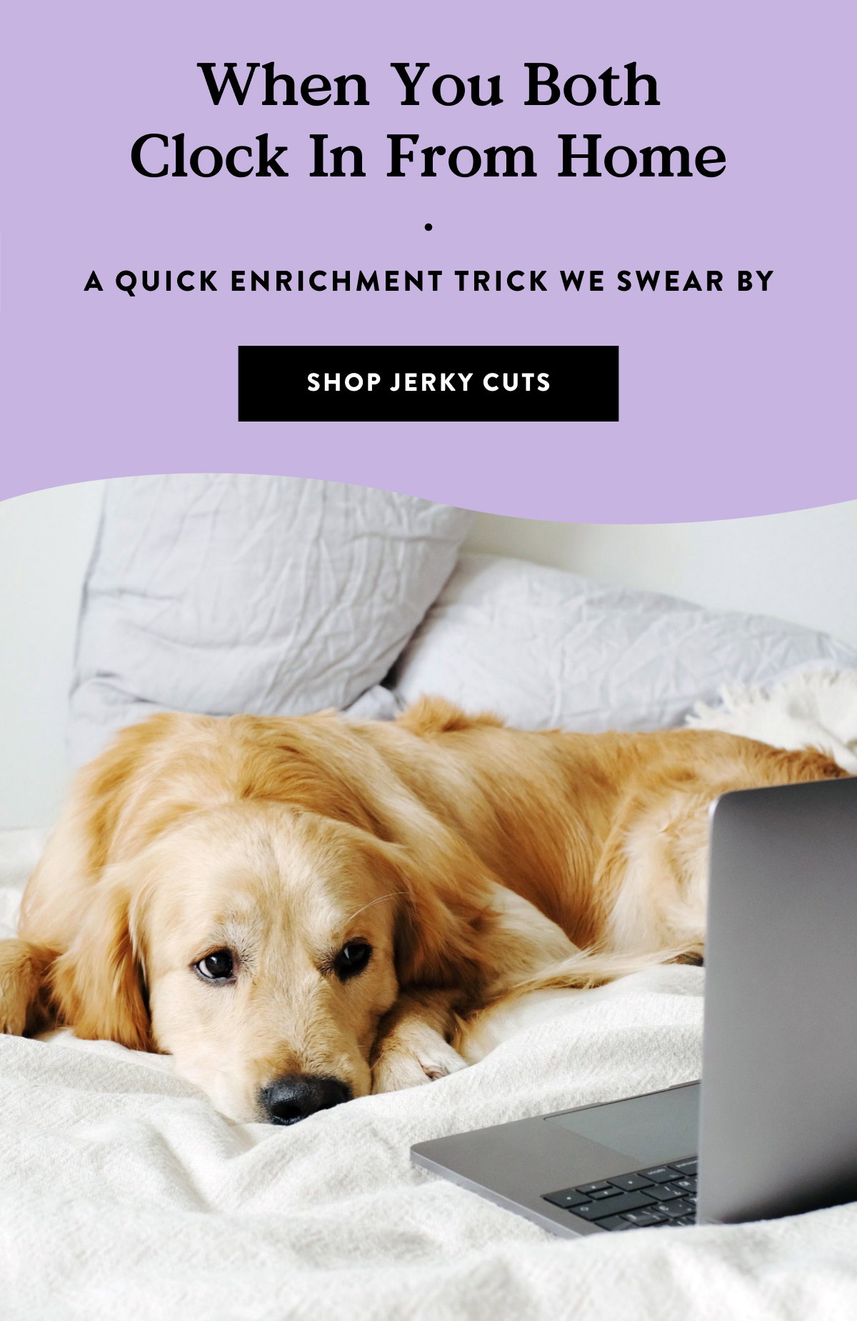 Shop Jerky Cuts