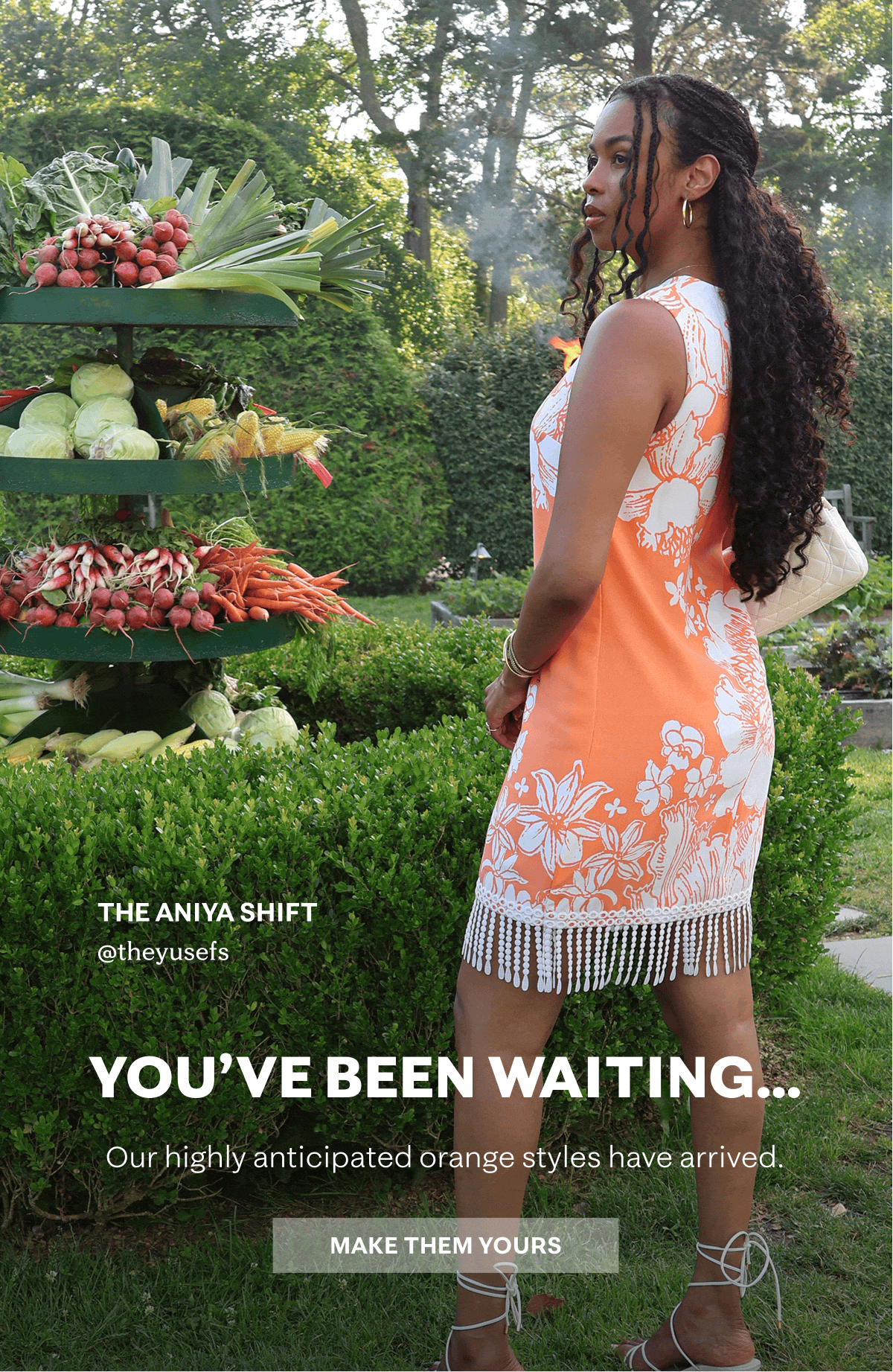 You've Been Waiting...