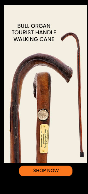 Bull Organ Tourist