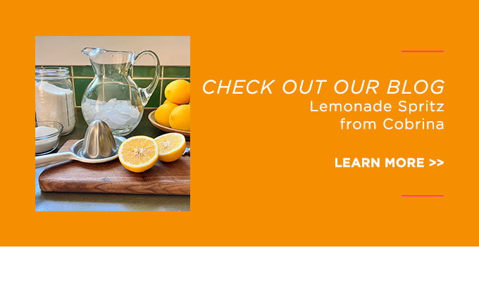 CHECK OUT OUR BLOG!: Lemonade Spritz