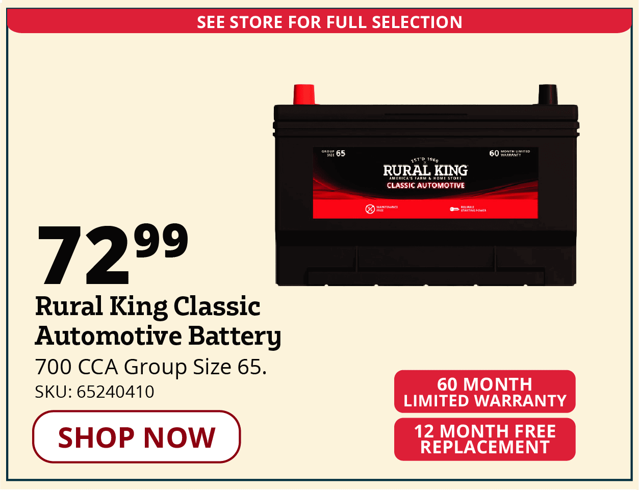 RK Auto Battery