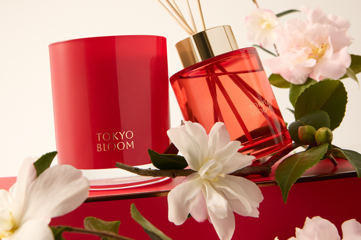 Buy 1, Get 1  50% OFF Signature & Soy Stories