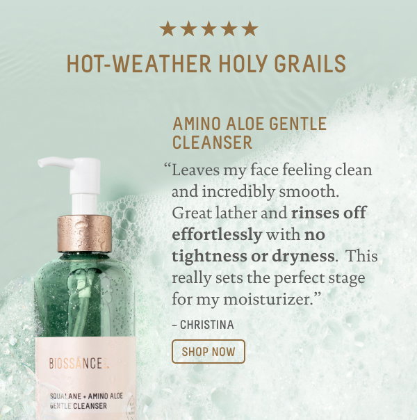 Amino Aloe Gentle Cleanser