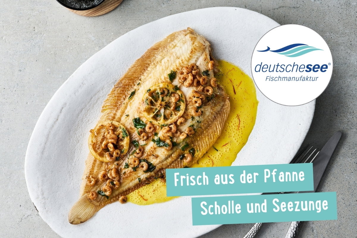 Plattfische-Rezepte