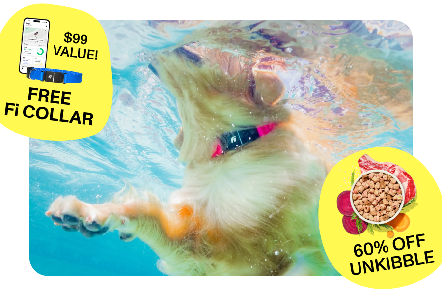 Good Days Are Ahead  Long weekend. Big adventures. Better food.  $99 VALUE!  FREE Fi COLLAR  50% OFF UNKIBBLE