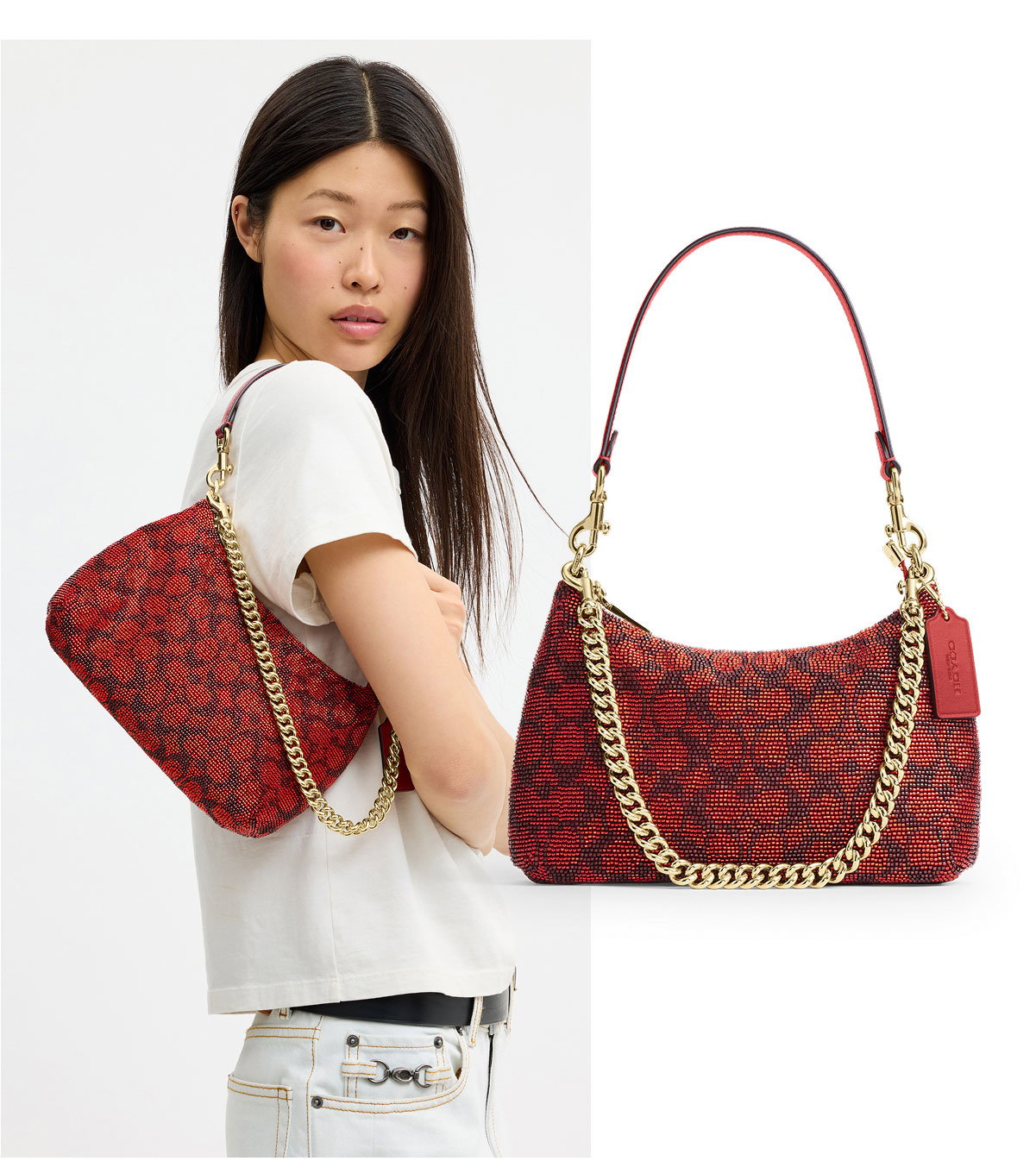 Shop Teri