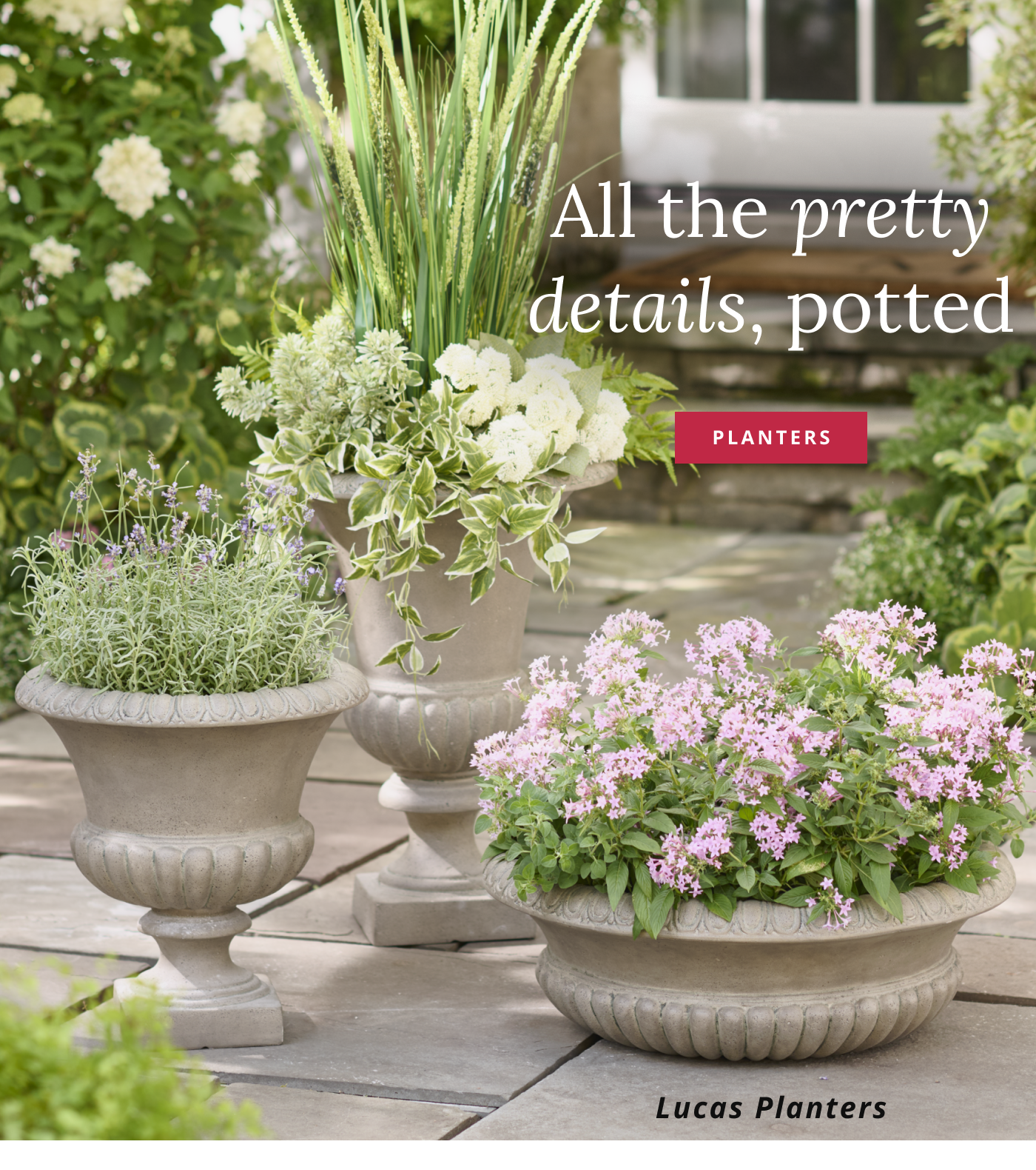 Shop Planters