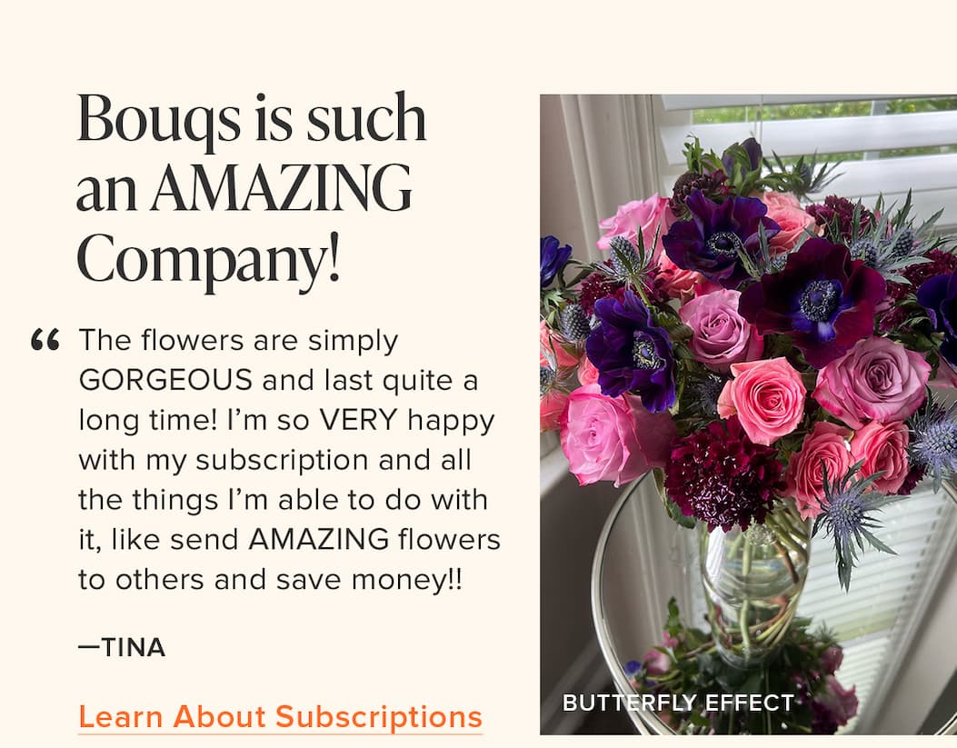 "Bouqs is such an AMAZING Company! The flowers are simply GORGEOUS and last quite a long time! I'm so VERY happy with my subscription and all the things I'm able to do with it, like send AMAZING flowers to others and save money!!" - Tina. Learn About Subscriptions 
