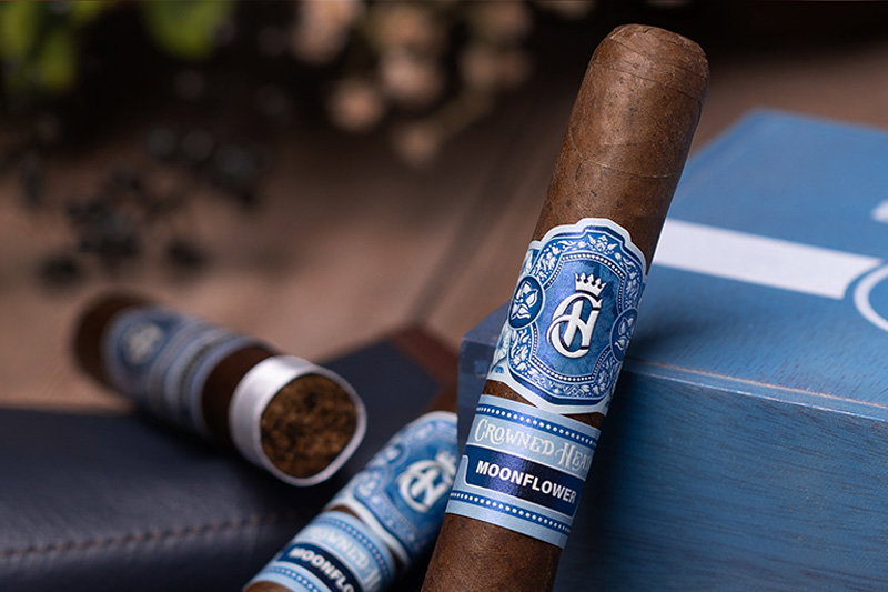 Crowned Heads Moonflower