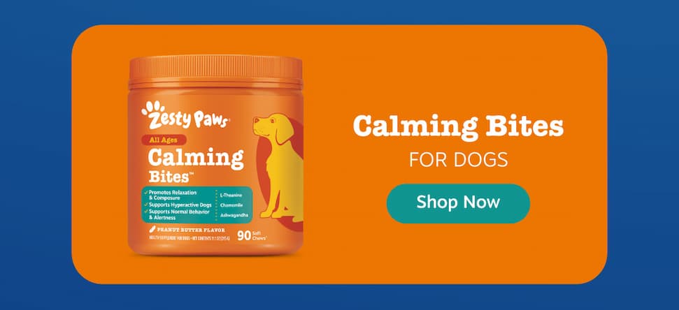 Calming Bites for Dogs! Shop Now