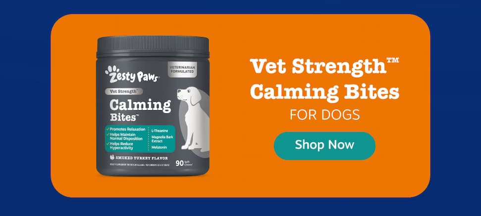 Vet Strength Calming Bites for Dogs! Shop Now