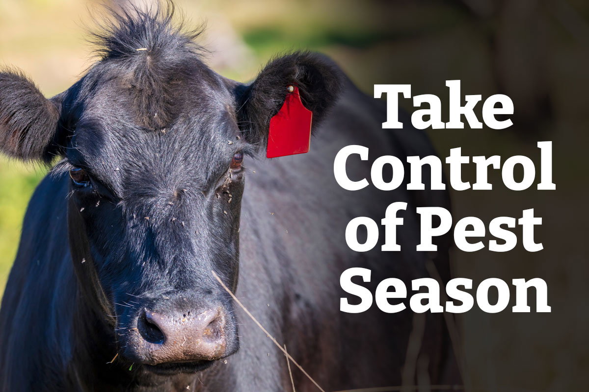 Take Control of Pest Season - Shop Now