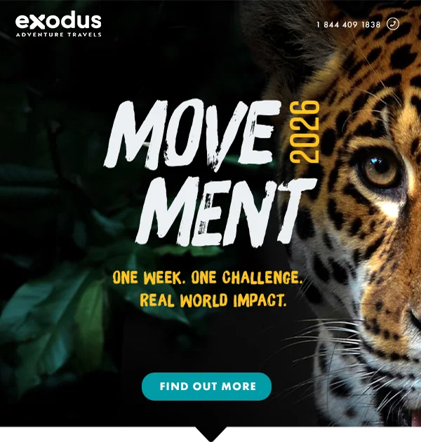 Movement Starts Today - US