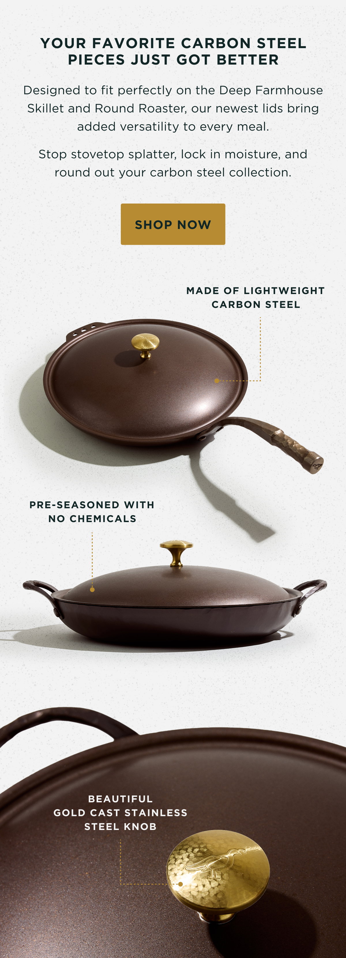Shop The Carbon Steel Lid