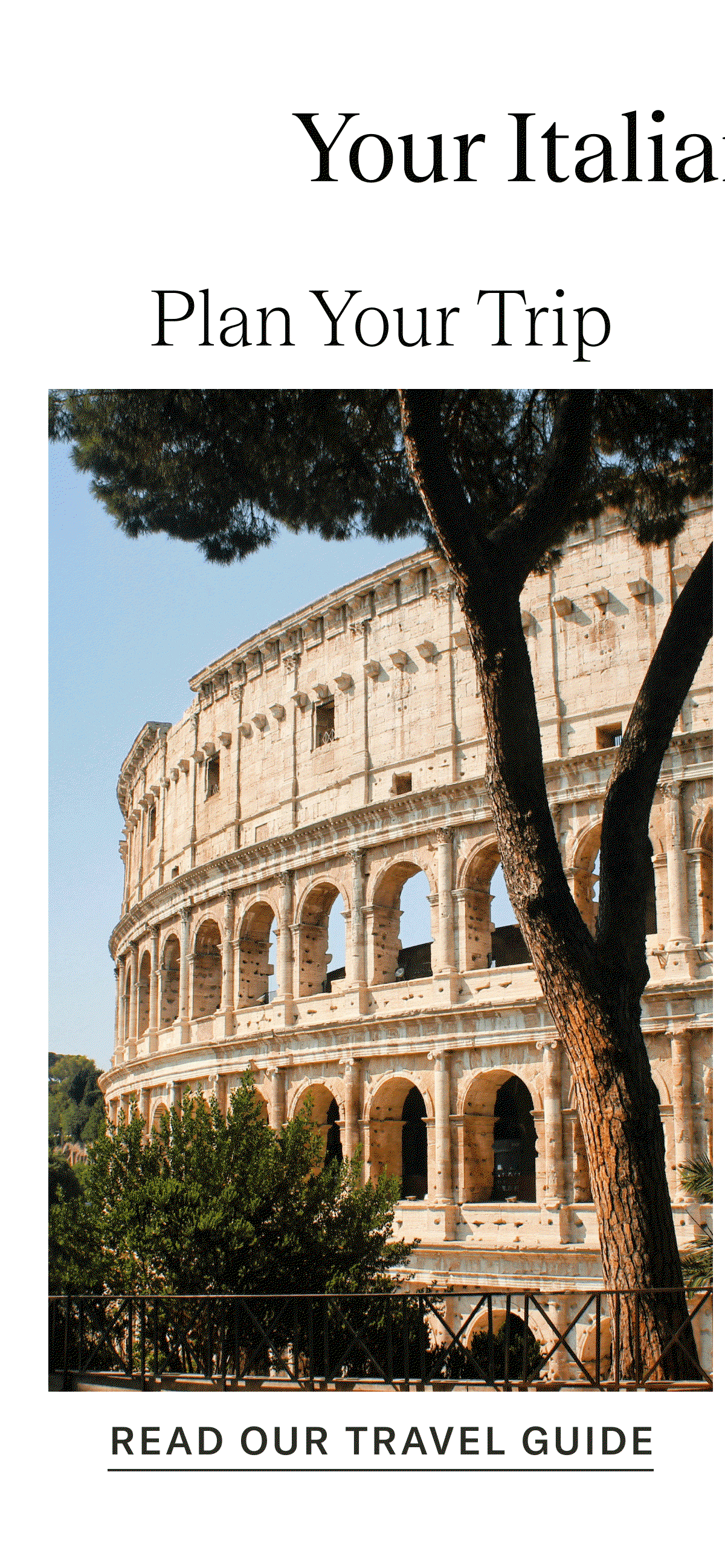 Plan Your Trip