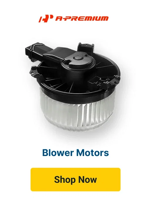 Blower Motors