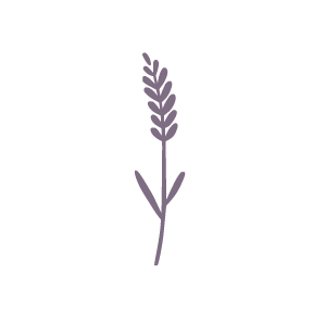 lavender stem