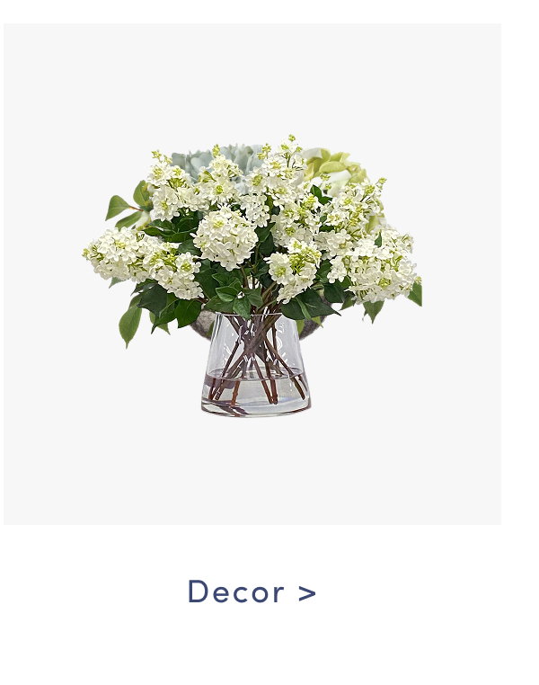 Shop Decor