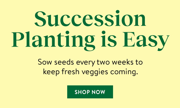 Vegetables to Sow Now