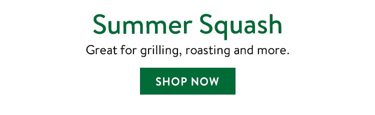 Summer Squash