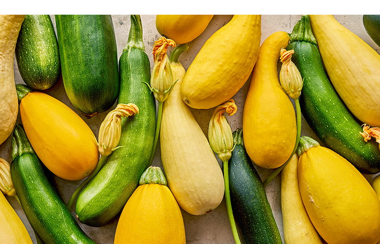 Summer Squash Seeds