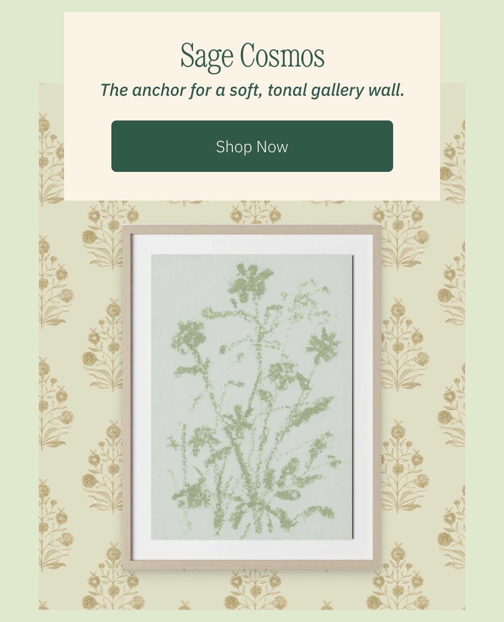 Sage Cosmos The anchor for a soft, tonal gallery wall. Shop Now