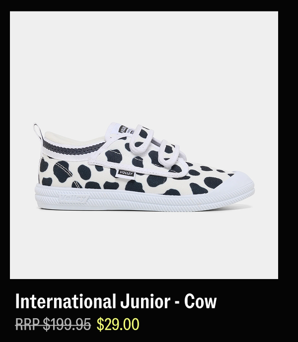 International Junior cow