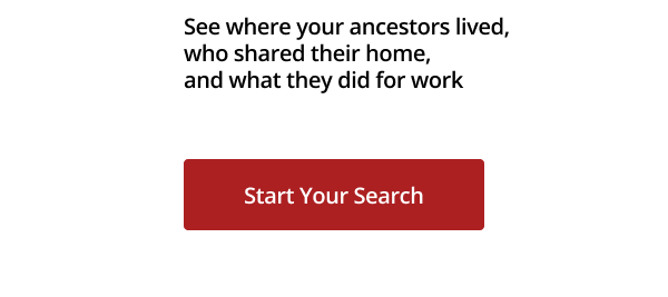 Start Your Search