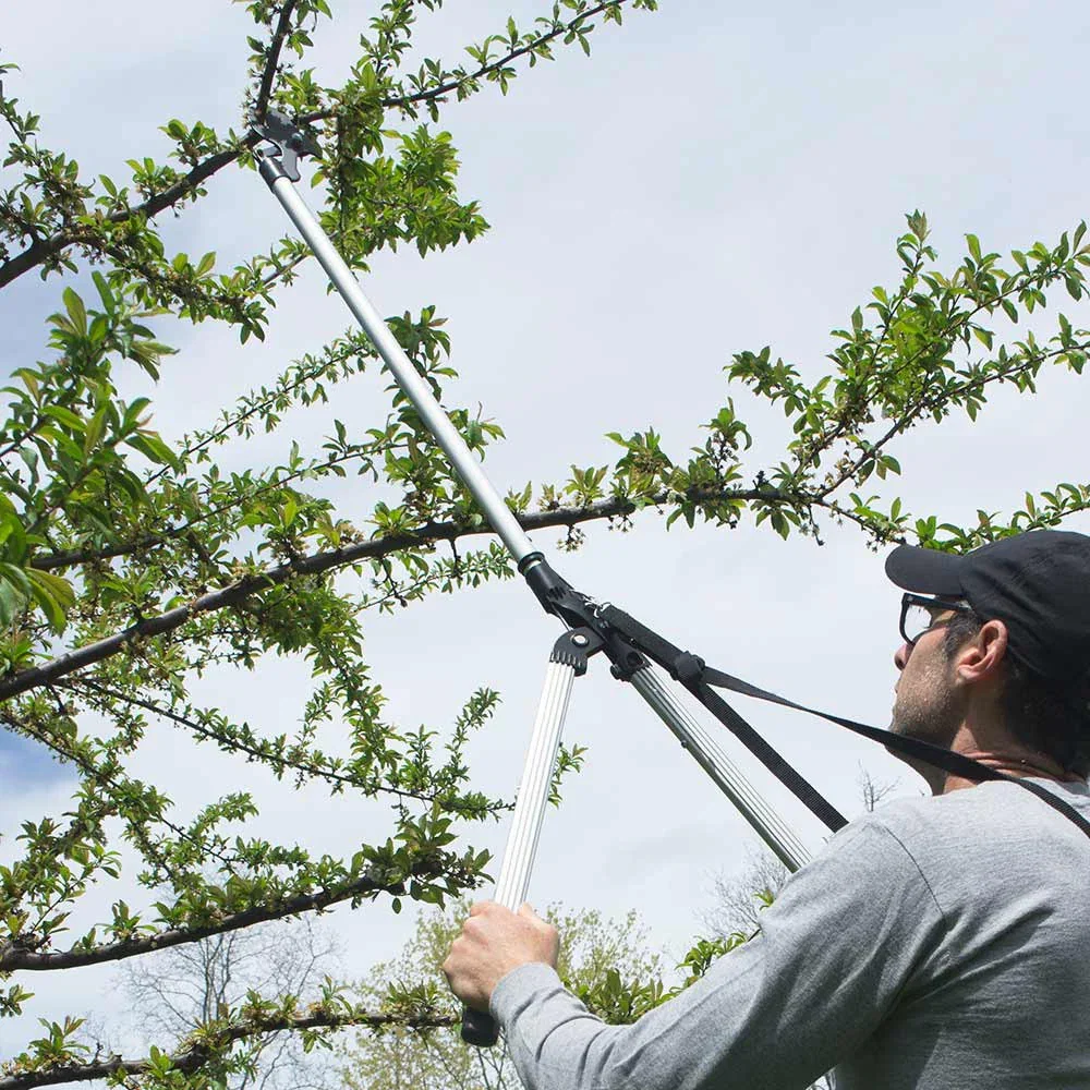 Image of Arborist Long Reach Cutter/Trimmer