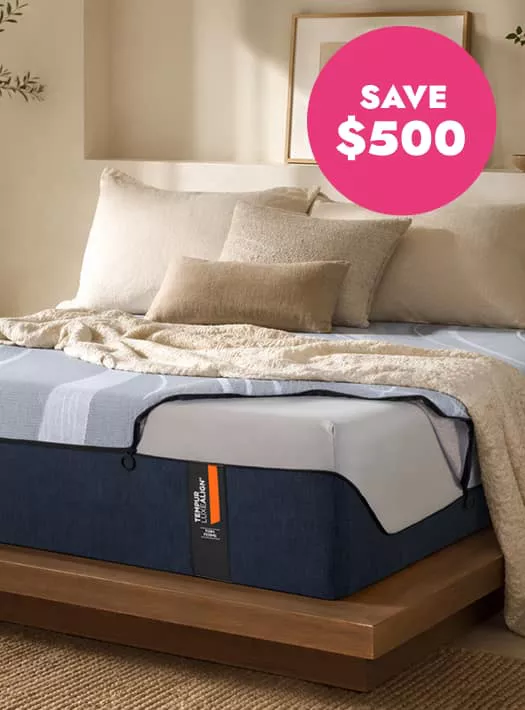 Tempur-Pedic Premium Foam Mattresses