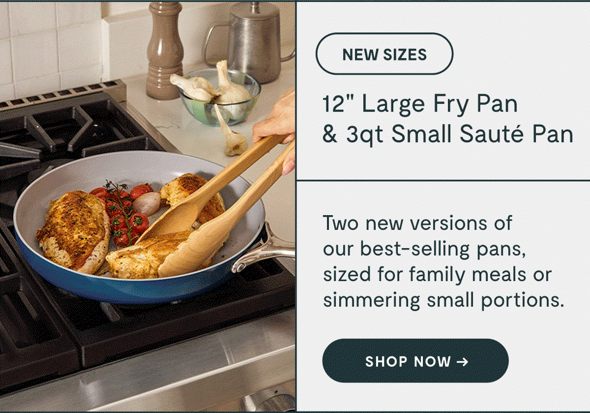 NEW SIZES  12" Large Fry Pan  & 3 qt Small Sauté Pan  Two new versions of  our best-selling pans, sized for family meals or simmering small portions. Shop NOW →