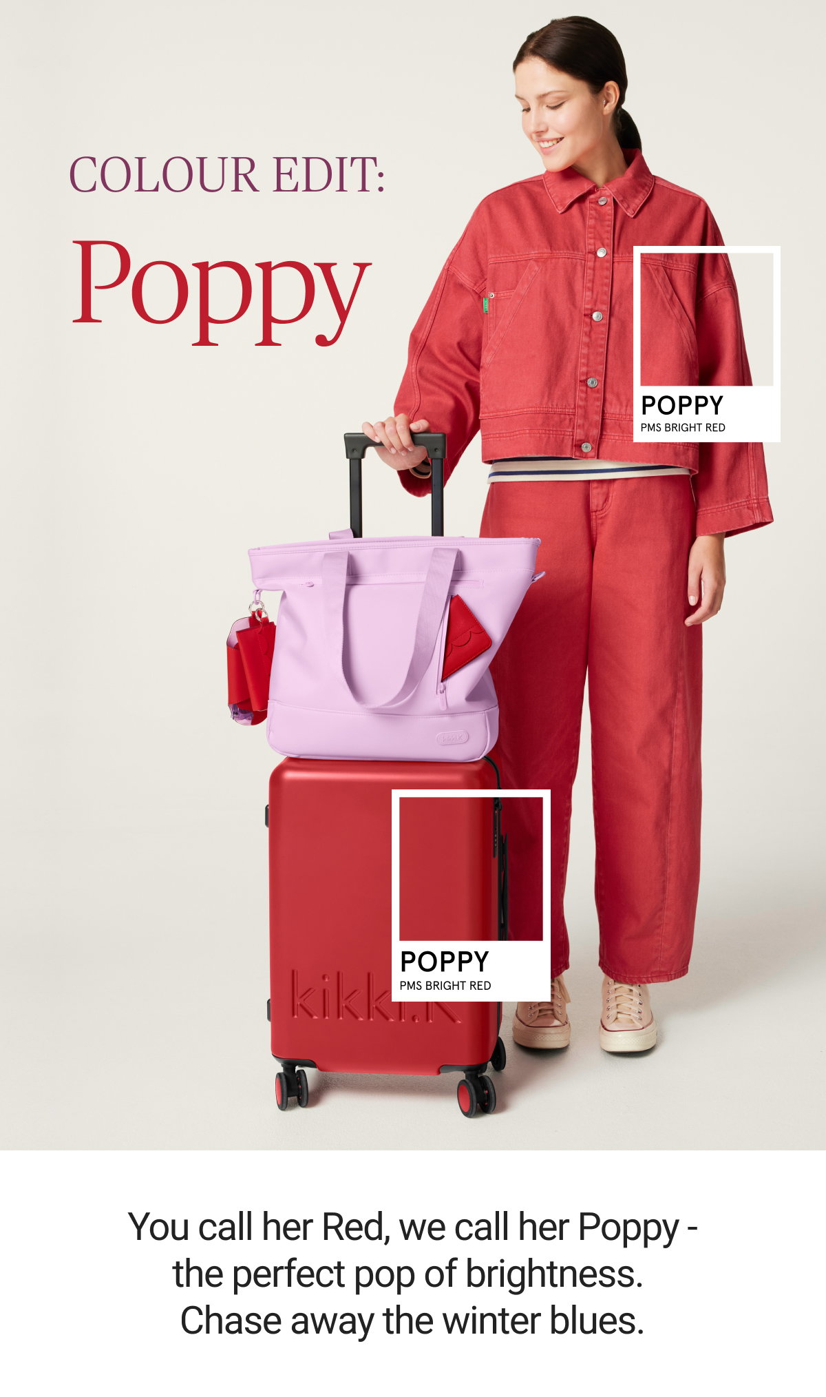 Poppy - The colour of the season