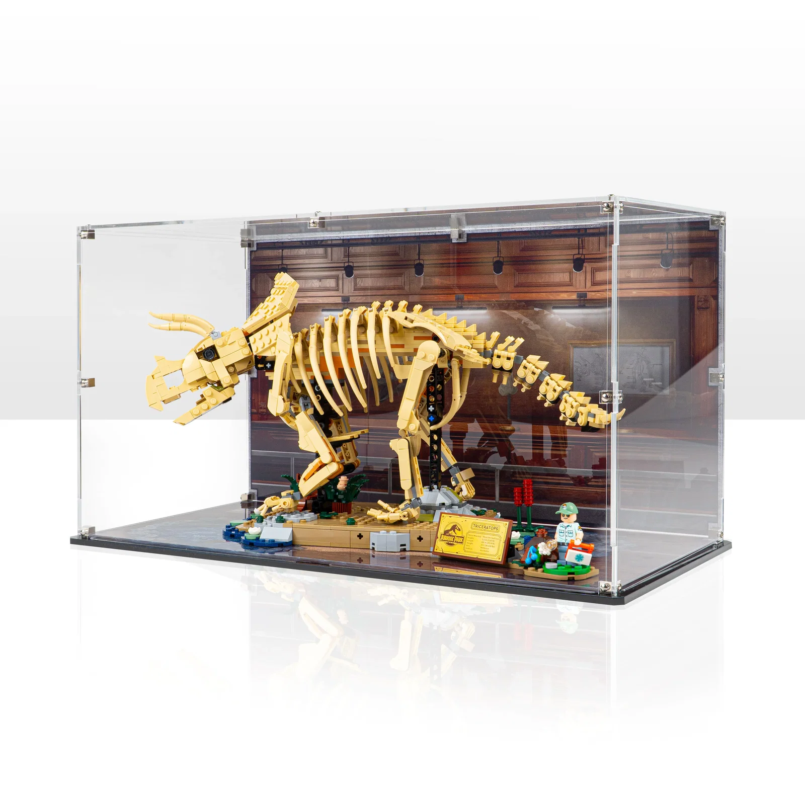 Image of Display Case for LEGO® Dinosaur Fossils: Triceratops (77985)