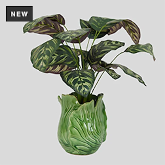 Thread Office Cabbage Leaf Ceramic Planter