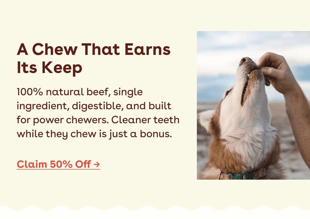 A chew that earns its keep 