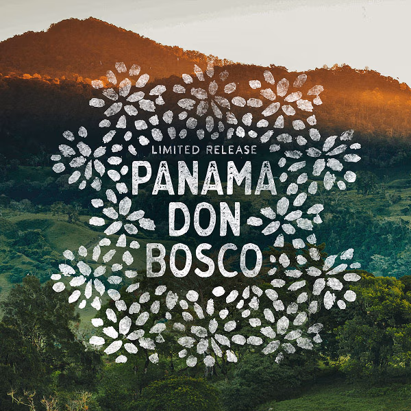 PANAMA DON BOSCO—DARK ROAST