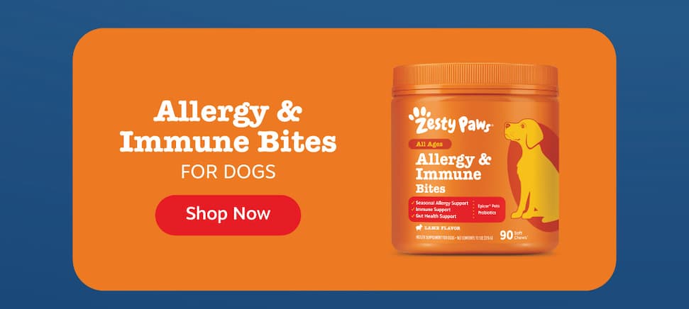Allergy & Immune Bites for Dogs: Shop Now
