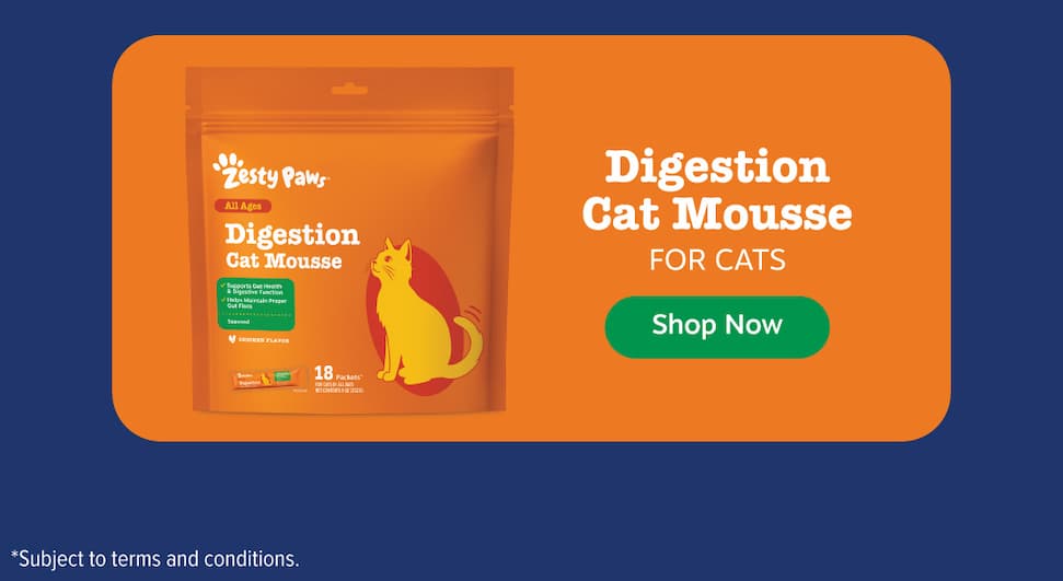 Digestion Cat Mousse for Cats: Shop Now