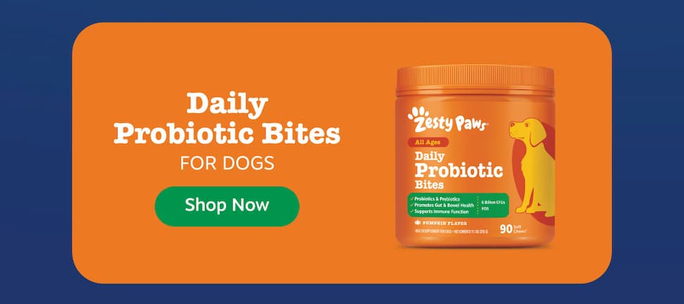 Daily Probiotic Bites for Dogs: Shop Now