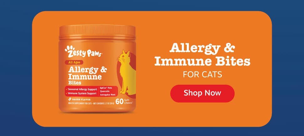 Allergy & Immune Bites for Cats: Shop Now